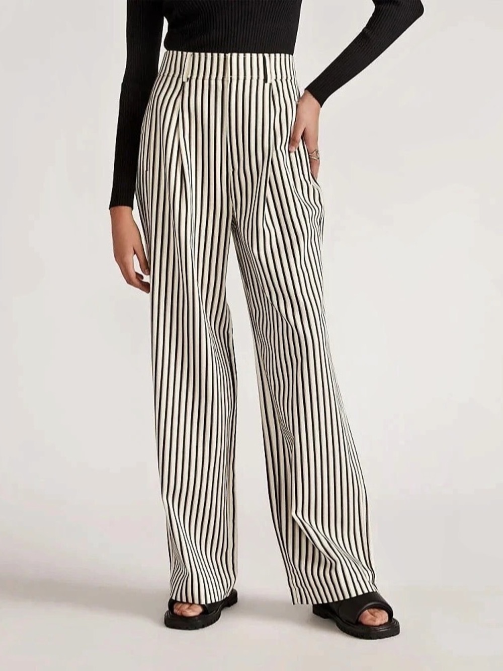 Everlane The Draper Pleated Pant in Buttersmooth Ombre Stripe Wide Leg Pants 4